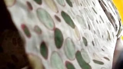 (Alina Lopez) Naughty America situs bokep filipina - istri, Cassandra Kelly